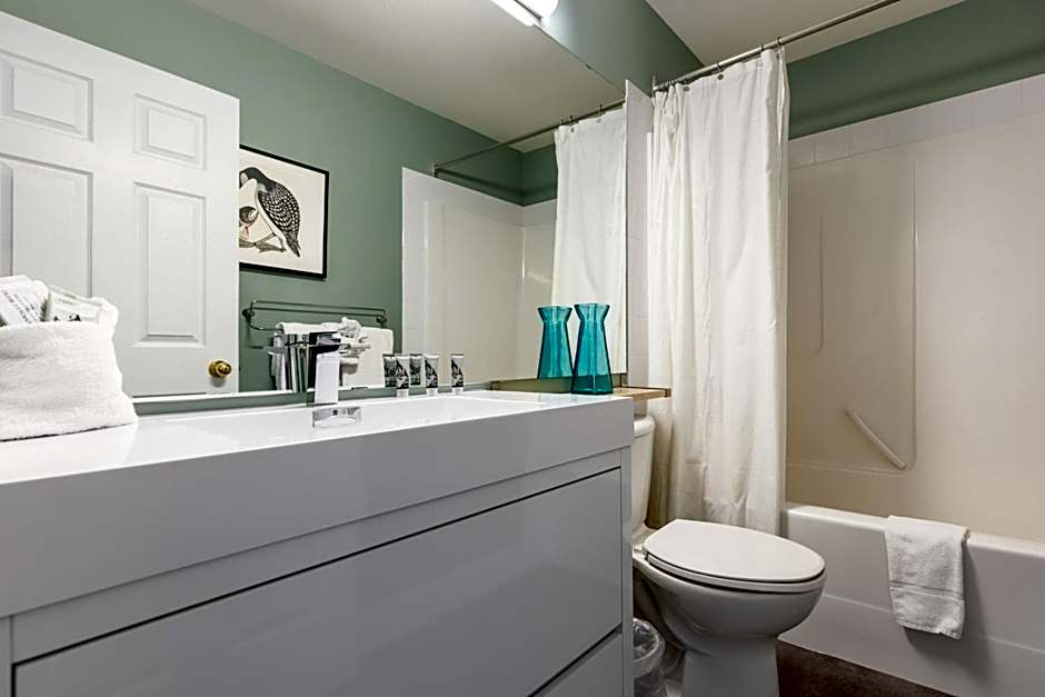 Ski In & 15 Minute Walk to the Lifts Hot Tub AC Pet Friendly