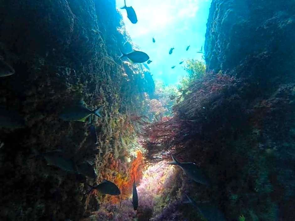 Absolute Beach front-Tutukaka Harbour