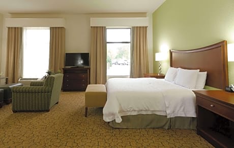 1 King Bed Studio Suite W/Kitchenette Nonsmok