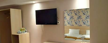 Deluxe Double or Twin Room with Mountain View