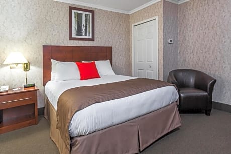 1 queen bed suite