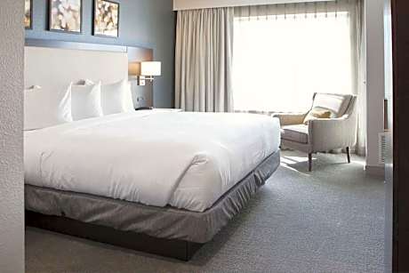 Presidential King Suite