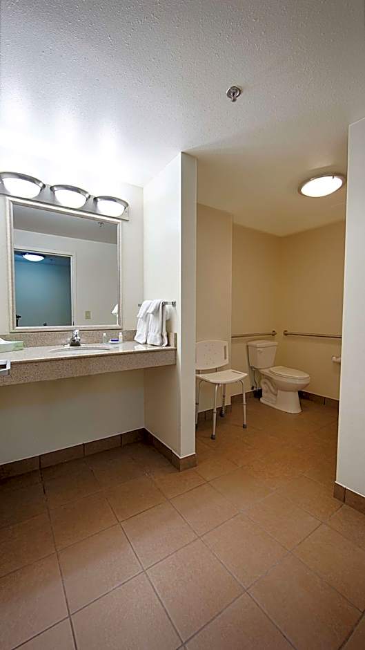 Best Western Plus Atlanta Airport-East