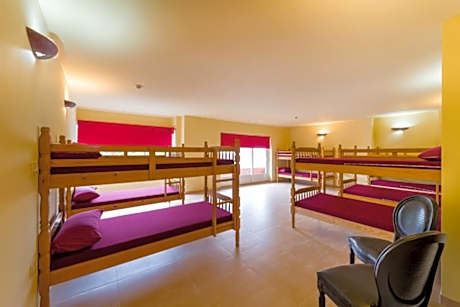 Bunk Bed in Mixed Dormitory Room