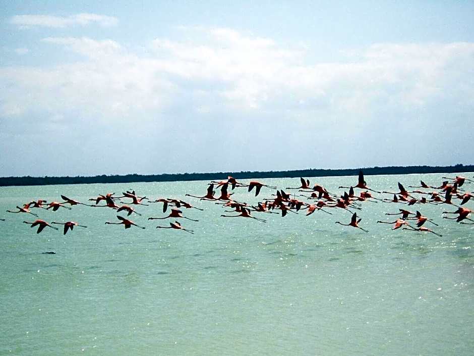 Antigua Lodge, 70 m from sandy beach