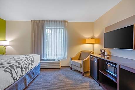 King Room - Hearing Access/Non-Smoking