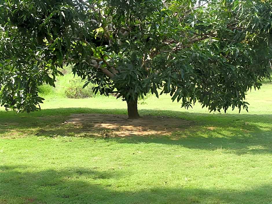 Eagle's Wings Guest House