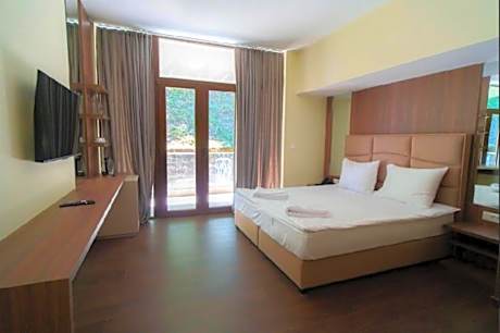 Double or Twin Room with Mountain View