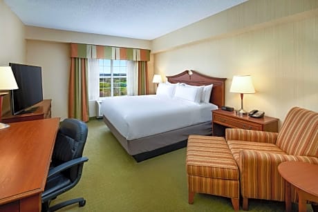 1 King Bed