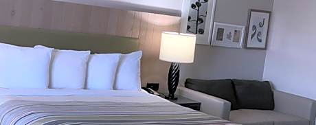 King Studio Suite with Sofa-Bed - Non-Smoking