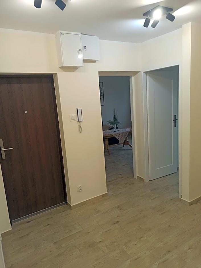 APARTAMENT CENTRUM Międzychód
