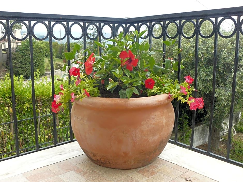 Marywilliam – Agropoli, UT