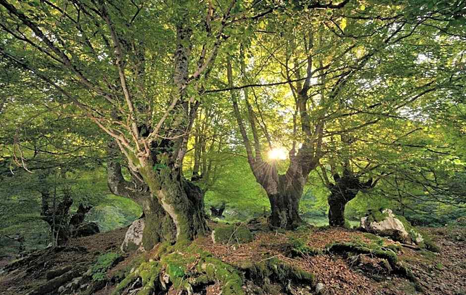 HOTEL HOLIDAYS a Barrea - Natura, Relax e Benessere nel Parco d'Abruzzo