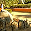 Residenze L'Isola Surf House