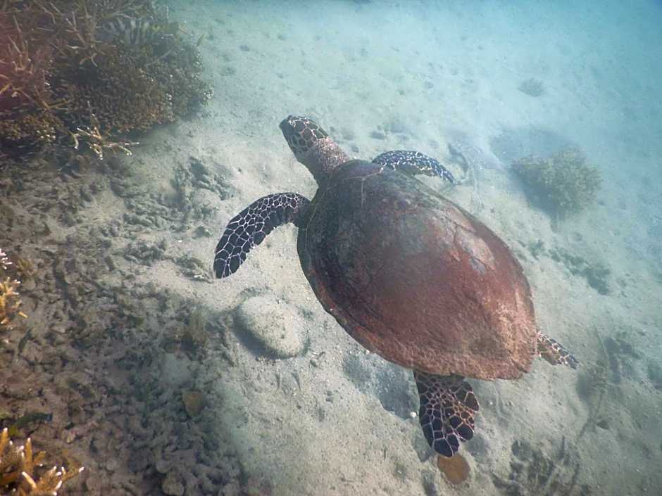 Great Keppel Island Holiday Village