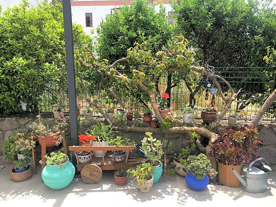 Villa Oliva Butik Hotel