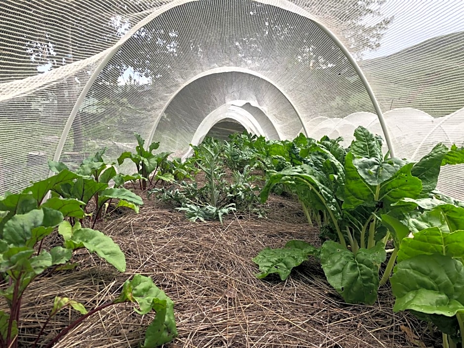 Tegwaan Country Getaway