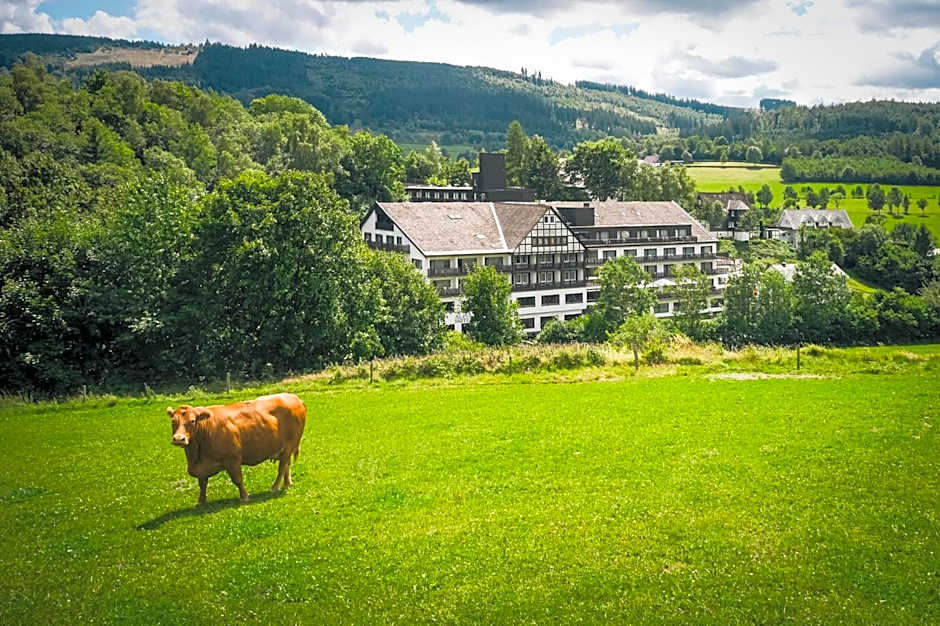 Sauerland Alpin Hotel