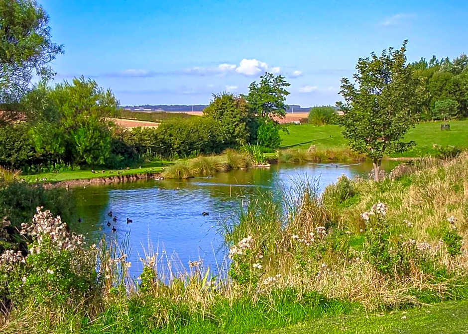 Willows Holiday Park