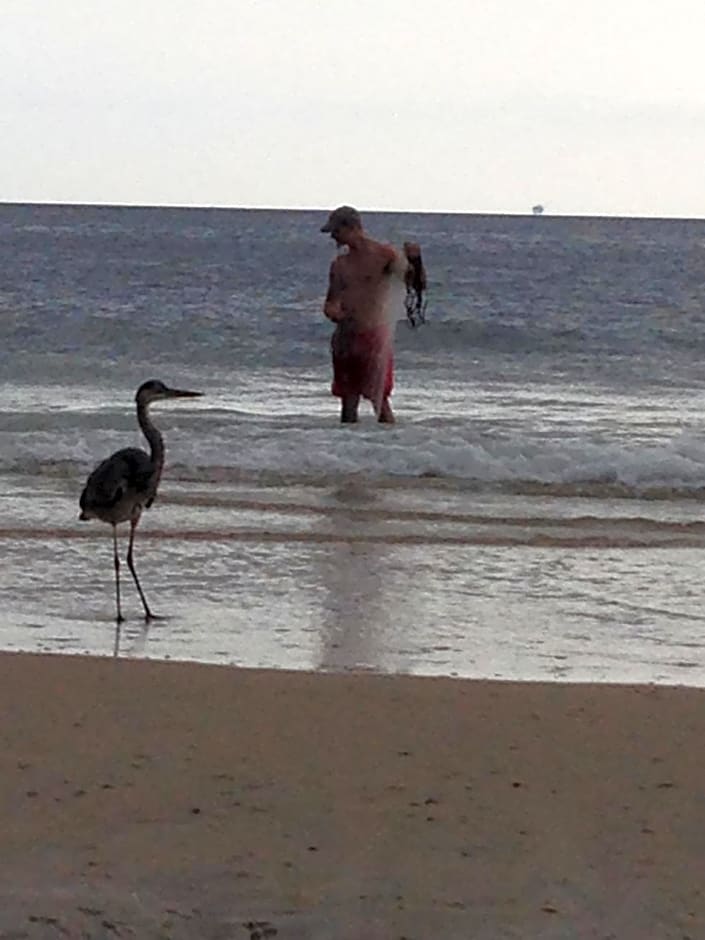 Gulf Shores Plantation