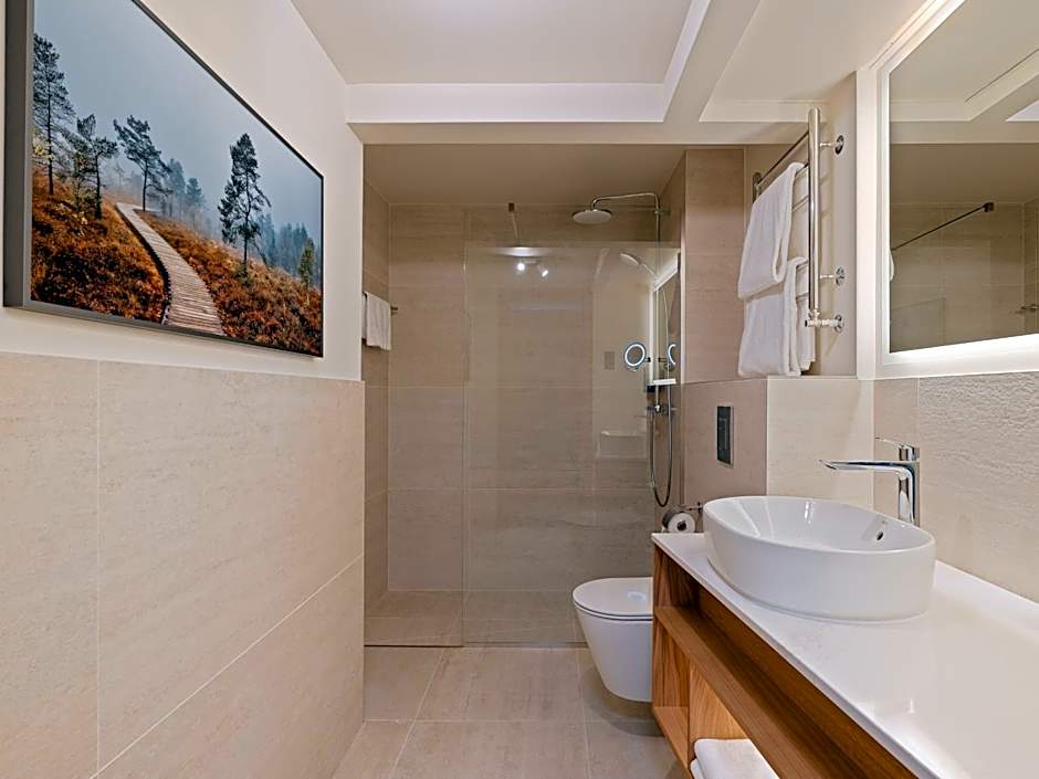 Radisson Blu Hotel & Spa, Daugava Riga