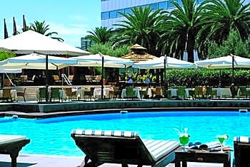 Cardo Roma, Autograph Collection