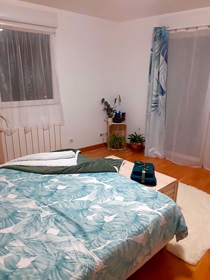 Eclosion de lumière