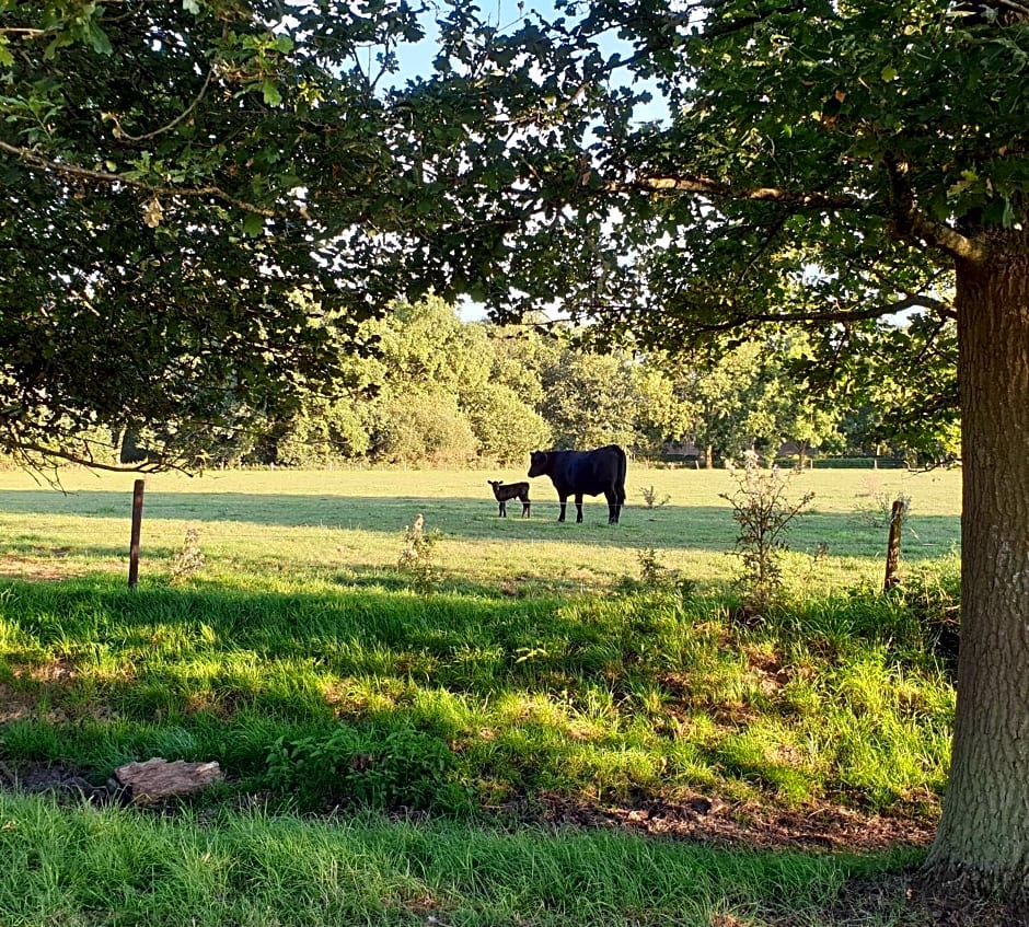 B&B de Scherpenhof