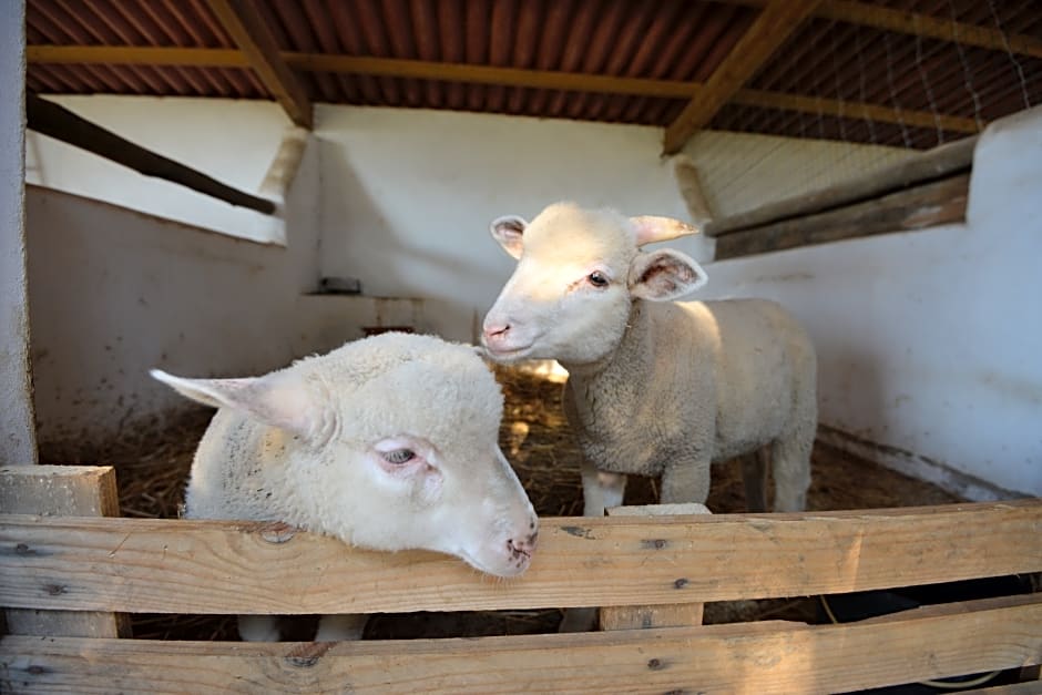 Quinta Da Samoqueirinha