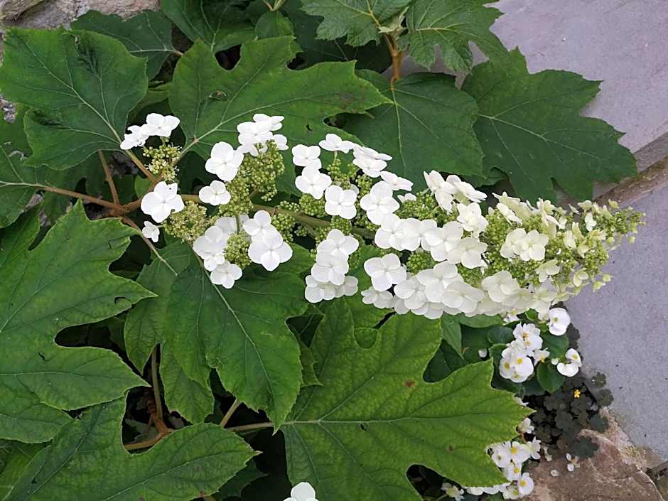 Il borgo Casteldelci