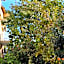 Hotel Uygar