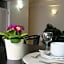 Hotel Ilha