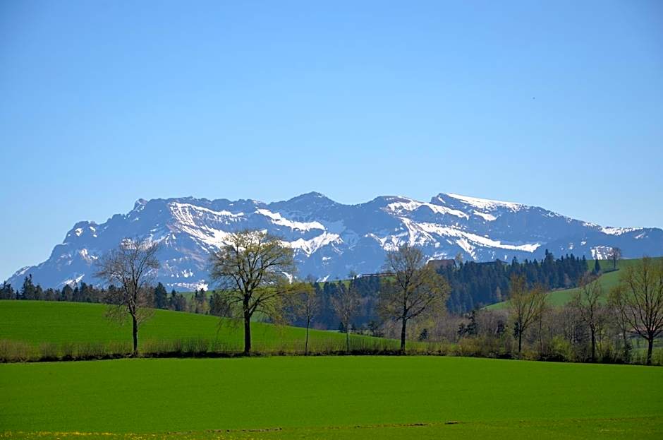B&B Friedau