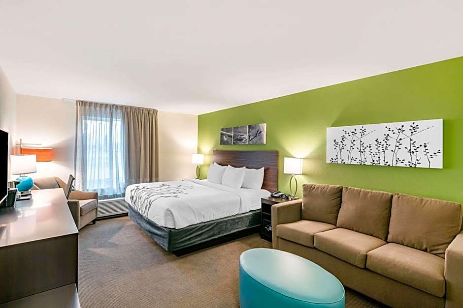 Photo 1 of 4 of 1 King Bed with Sofabed