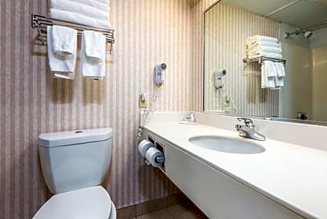 King Suite with Hot Tub - Non-Smoking