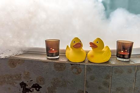 King Room with Spa Bath and TV in Bathroom