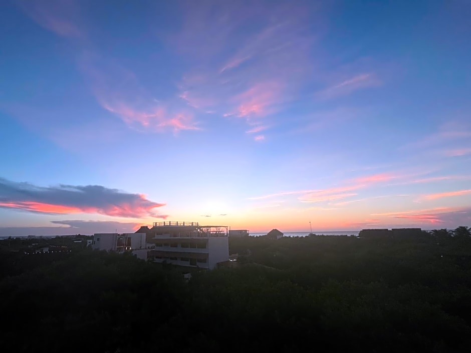 Kin studios holbox