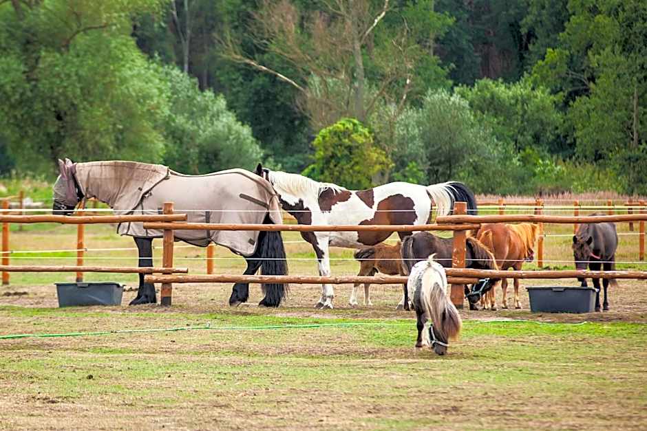 Feniks Agro&Spa Adults Only