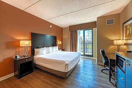King Room with Park View - Non-Smoking