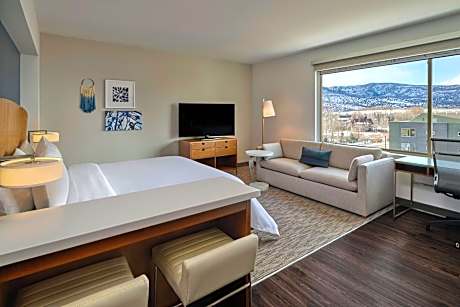 Studio, 1 King Bed