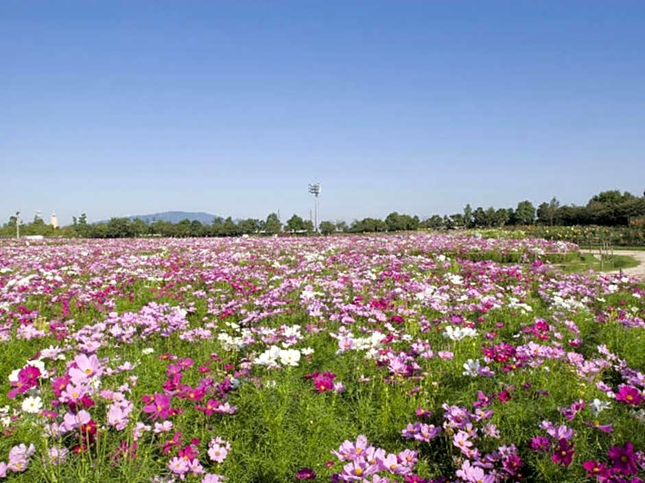 Kuwana Park Hotel - Vacation STAY 66850v