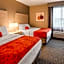 Best Western Plus New Cumberland Inn & Suites