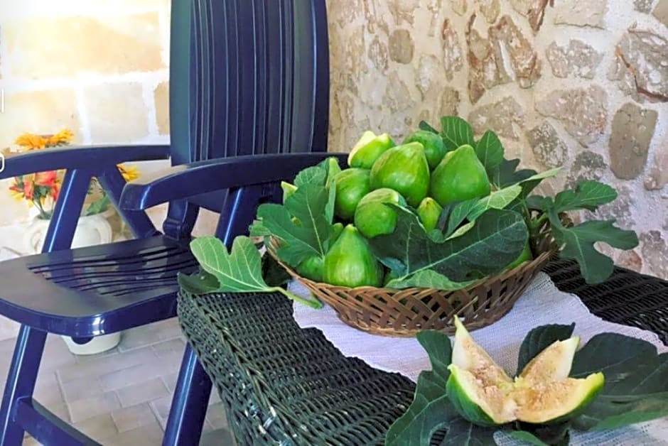 Tenuta Nonno Carmine