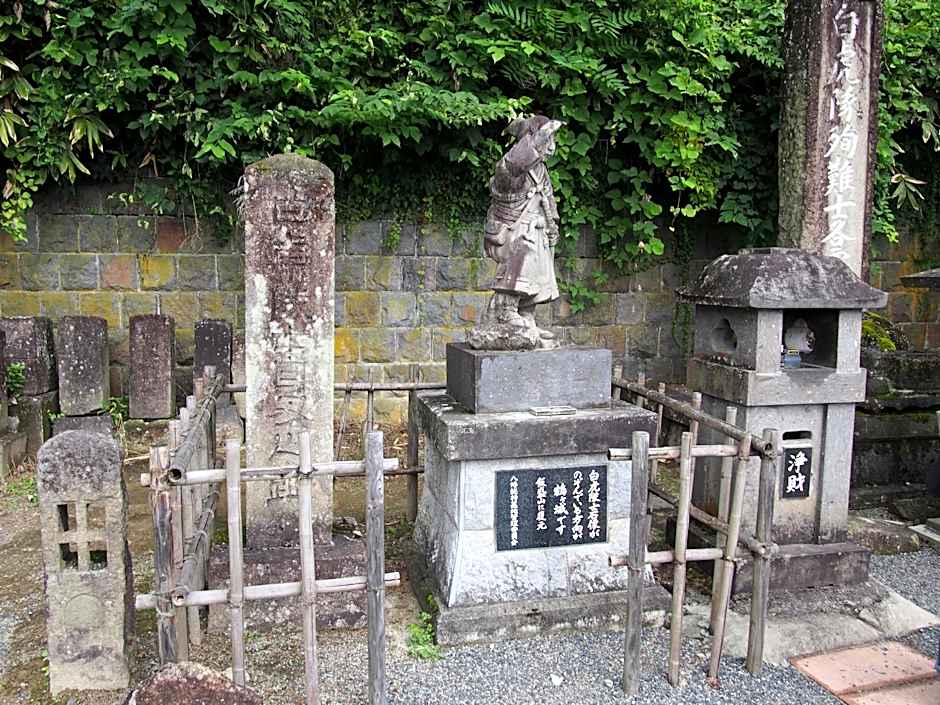 Toyoko Inn Aizuwakamatsu Ekimae