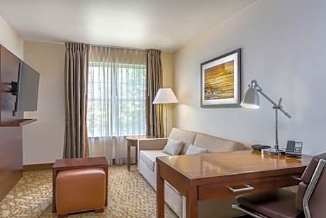 1 Queen Bed 1 Bedroom Suite Nonsmoking