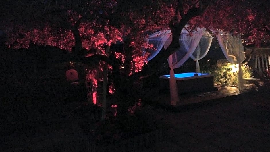 B&B Elfo degli Ulivi