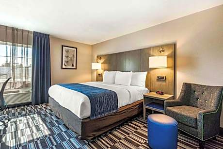 King Room - Non-Smoking