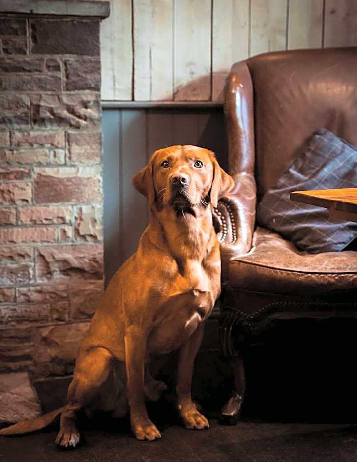 Bulls Head - Holymoorside