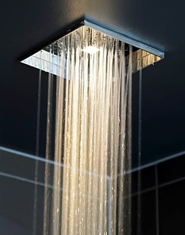 Junior Suite (1 King Bed)