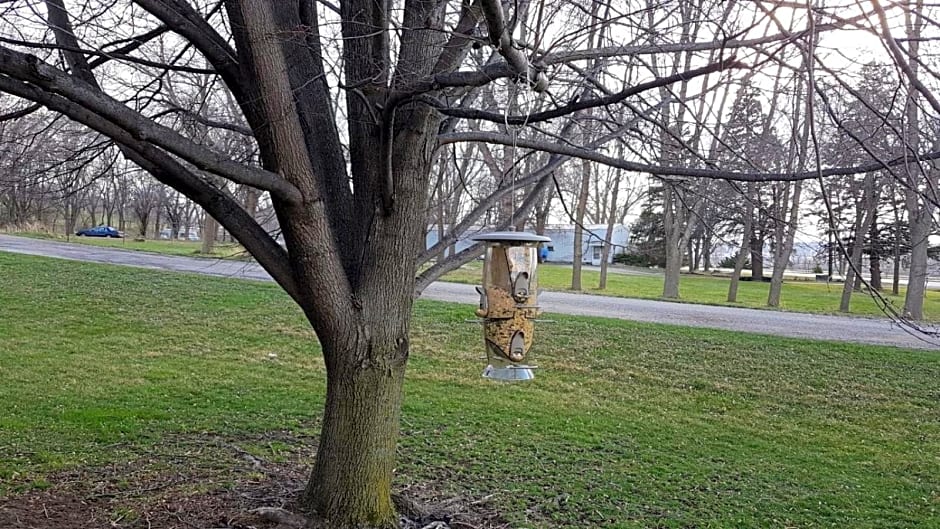 Denison Inn & Suites